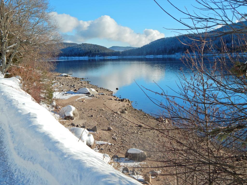 Hochschwarzwald-Hof Hotell Schluchsee Eksteriør bilde